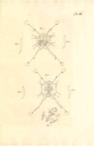 n118_w1150