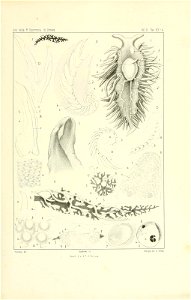 n152_w1150