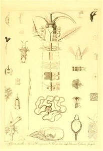 n364_w1150