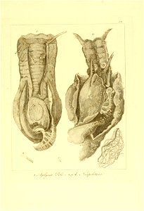 n120_w1150