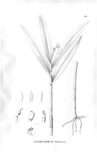 n141_w1150