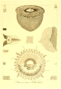 n302_w1150