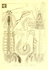 n178_w1150
