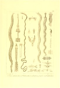 n212_w1150