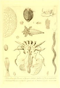 n58_w1150