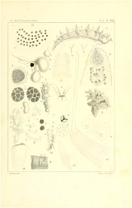 n178_w1150