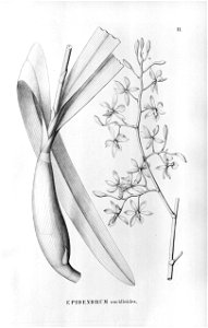 n110_w1150