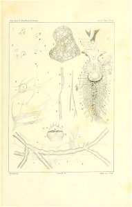 n114_w1150