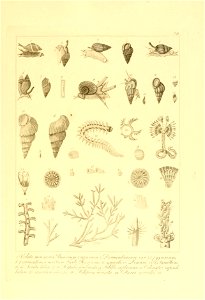 n146_w1150