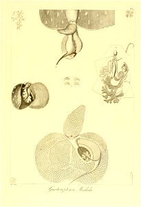 n116_w1150