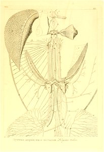 n56_w1150