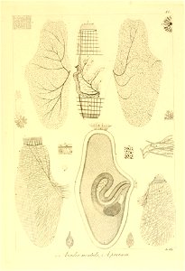n174_w1150