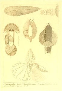 n114_w1150
