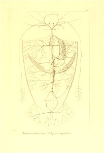 n54_w1150