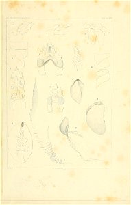 n174_w1150
