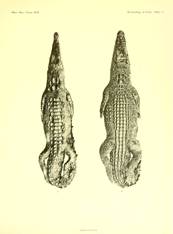 n200_w1150