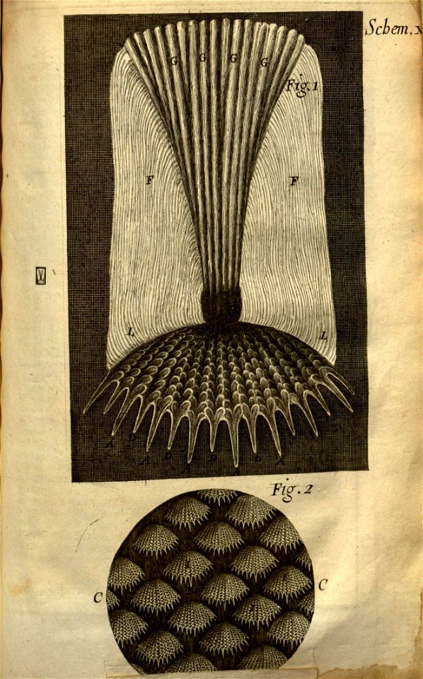 n214_w1150