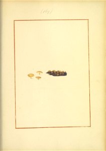 n150_w1150