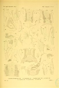 n272_w1150