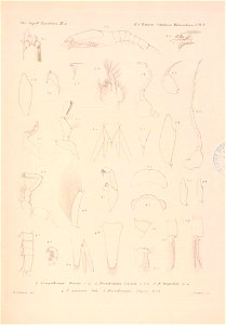 n136_w1150