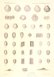 n134_w1150