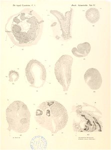 n50_w1150
