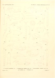 n176_w1150