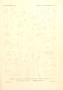 n174_w1150