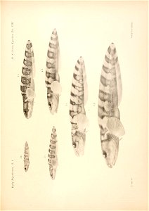 n138_w1150