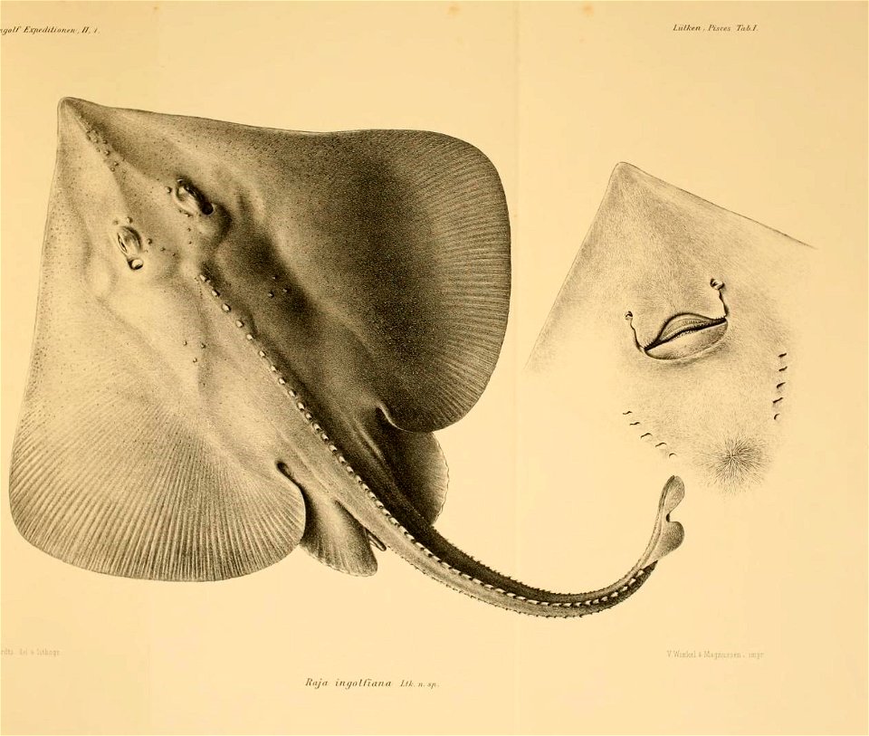 n46_w1150