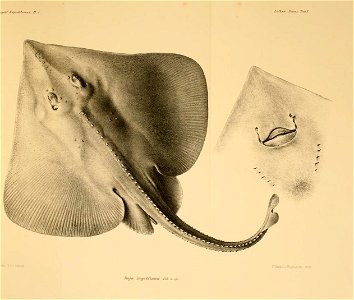 n46_w1150