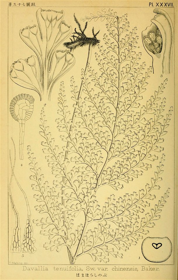 n197_w1150