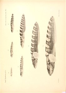 n134_w1150
