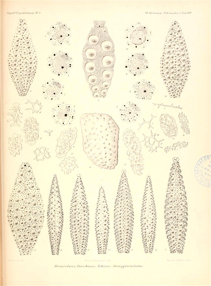 n264_w1150