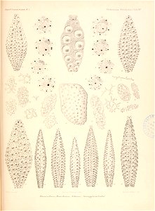 n264_w1150