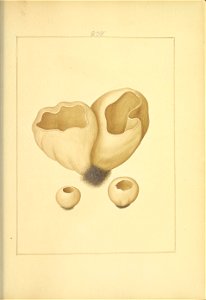 n28_w1150