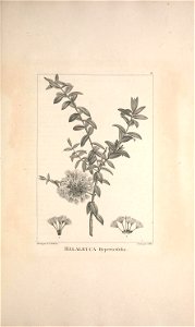 n54_w1150