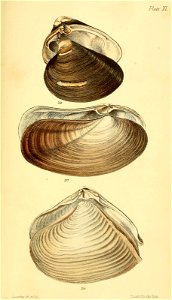 n590_w1150