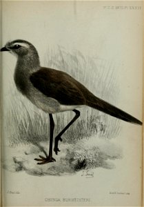 n762_w1150
