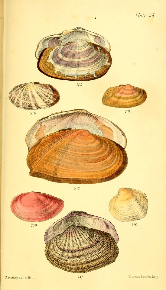 n586_w1150