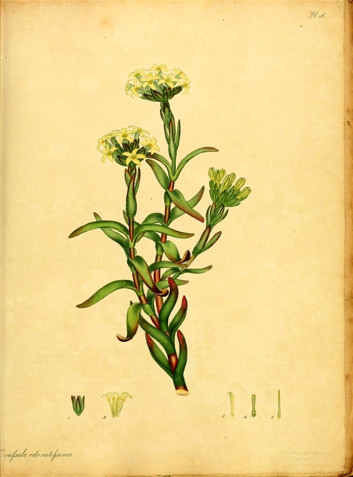 n114_w1150