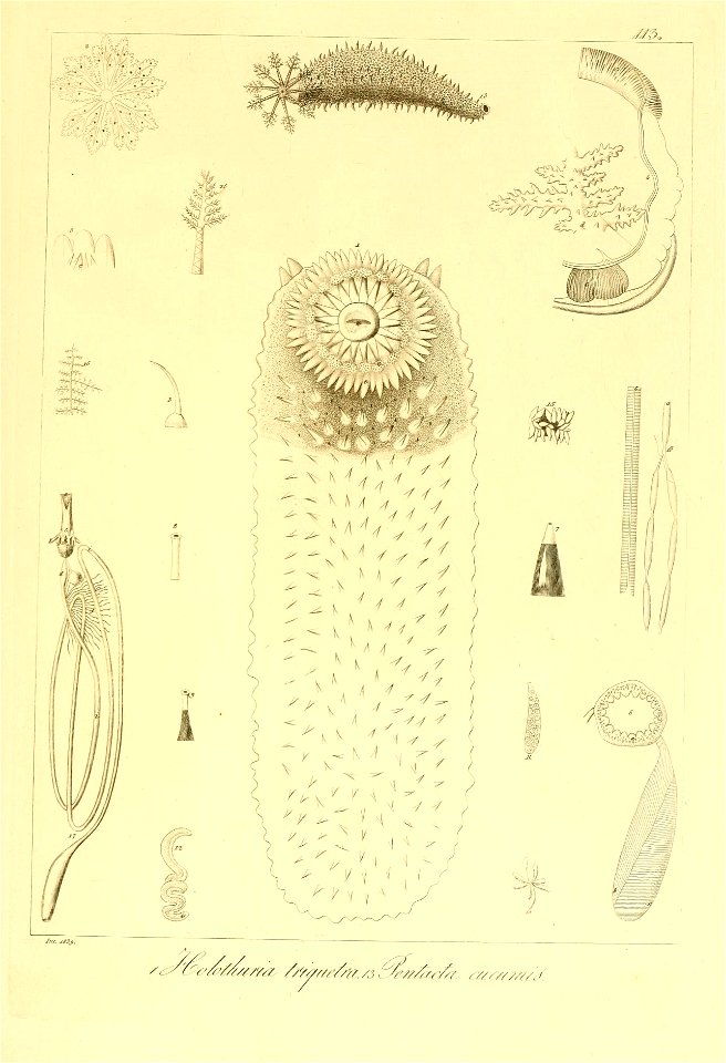 n236_w1150