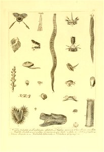 n206_w1150