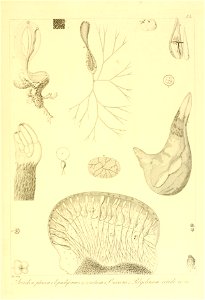 n172_w1150