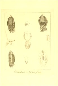 n112_w1150