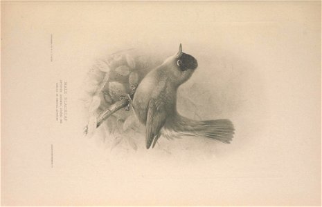 n32_w1150