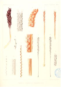 n106_w1150