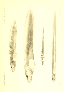 n374_w1150