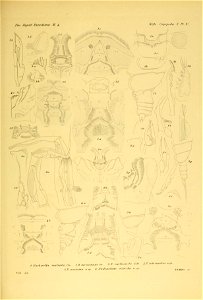 n274_w1150