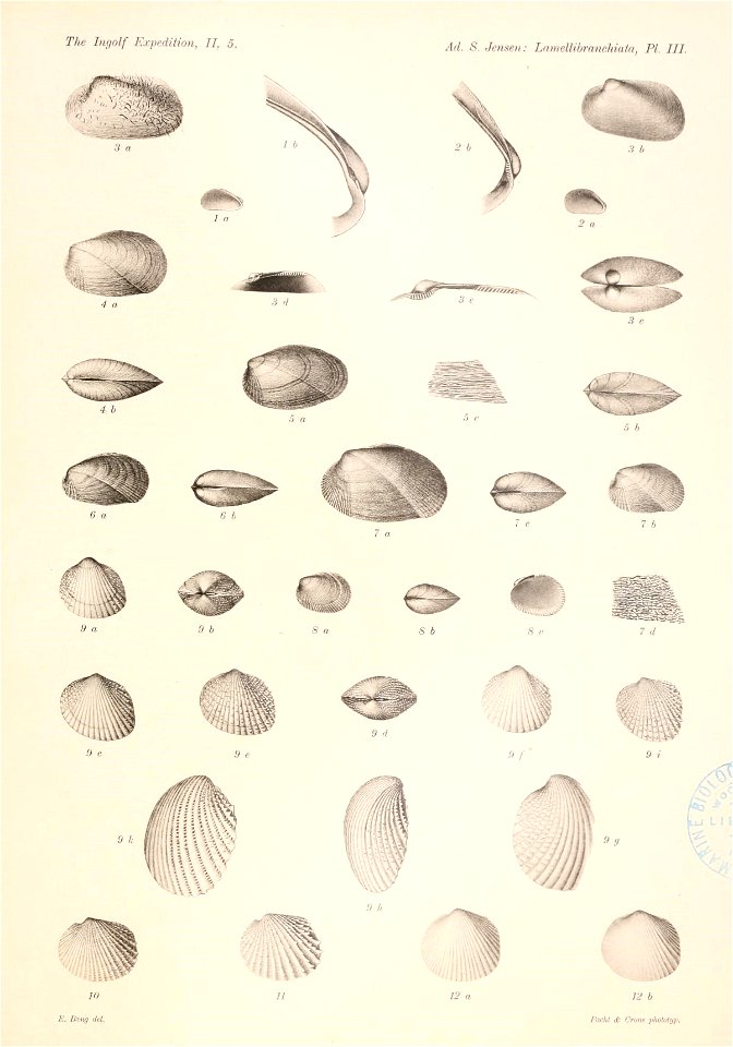 n138_w1150